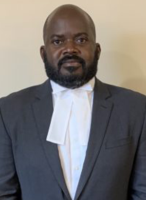 The Hon. Mr. Justice Ian R. Winder